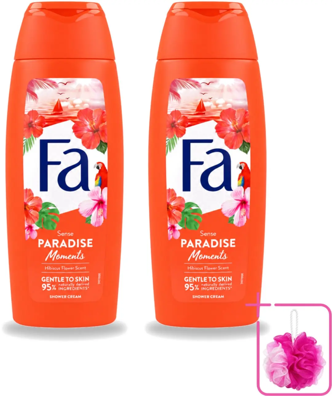 2 x Fa