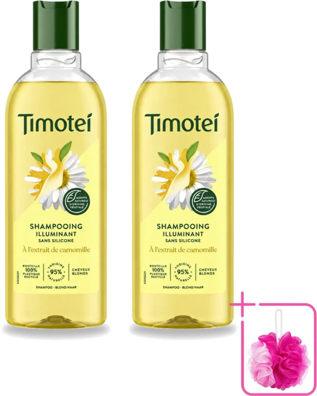 2 x Timotei