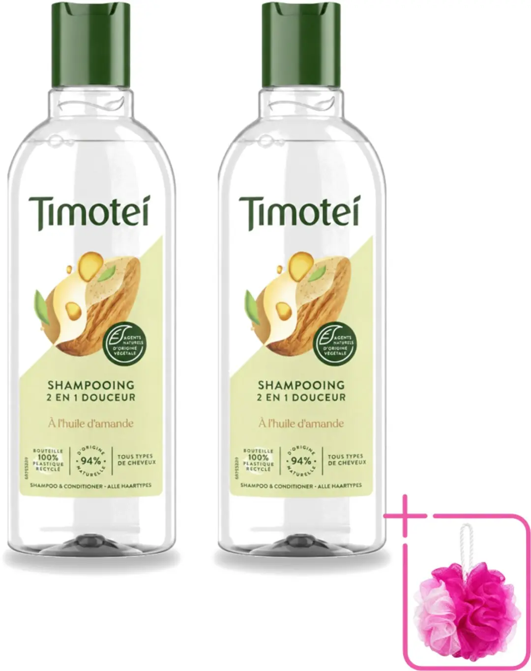 2 x Timotei