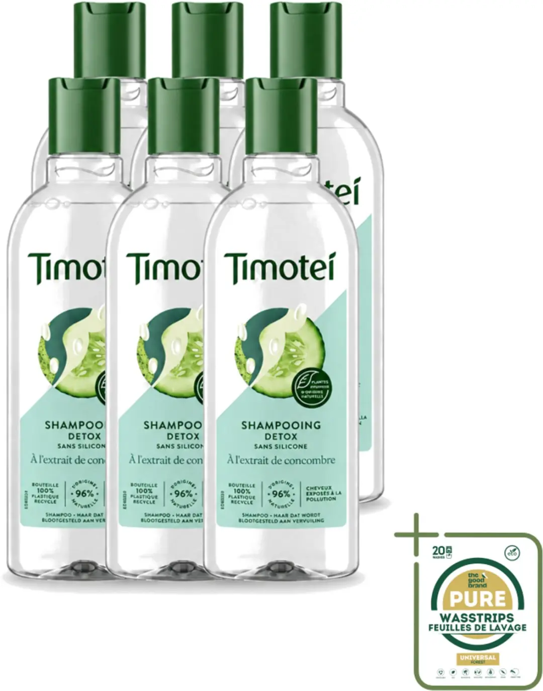 6 x Timotei