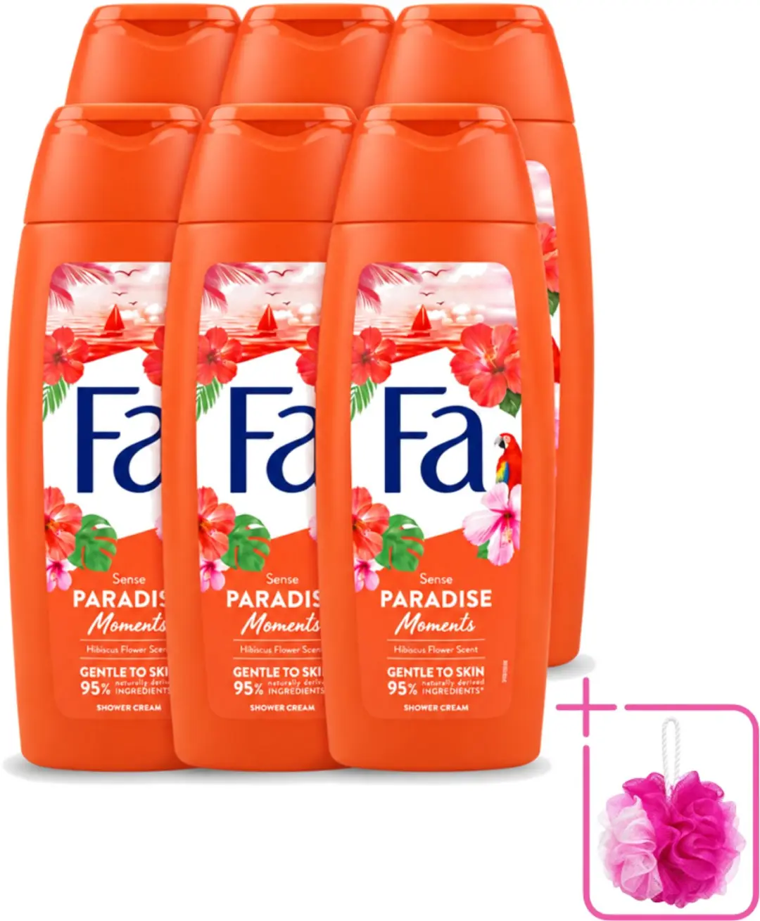 6 x Fa