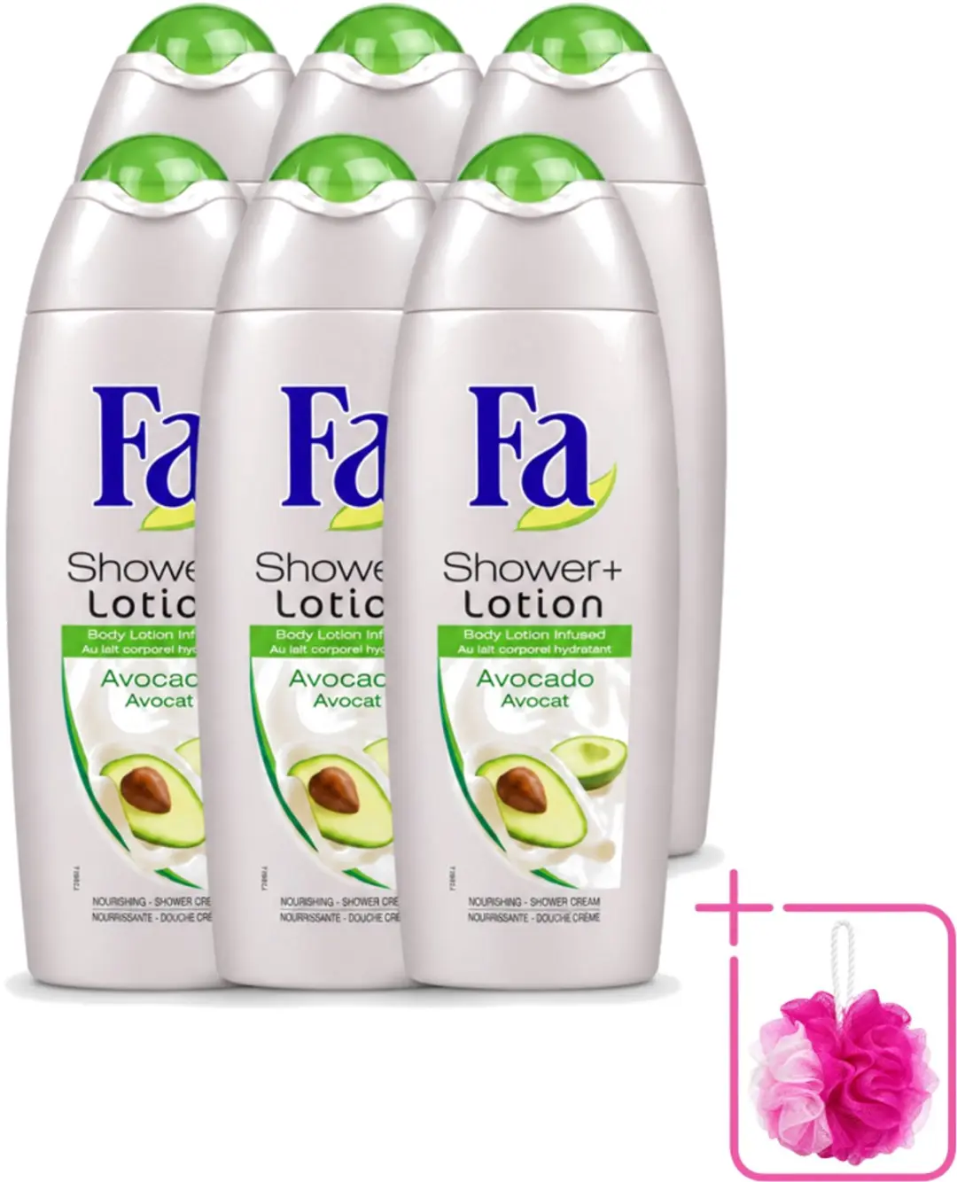 6 x Fa