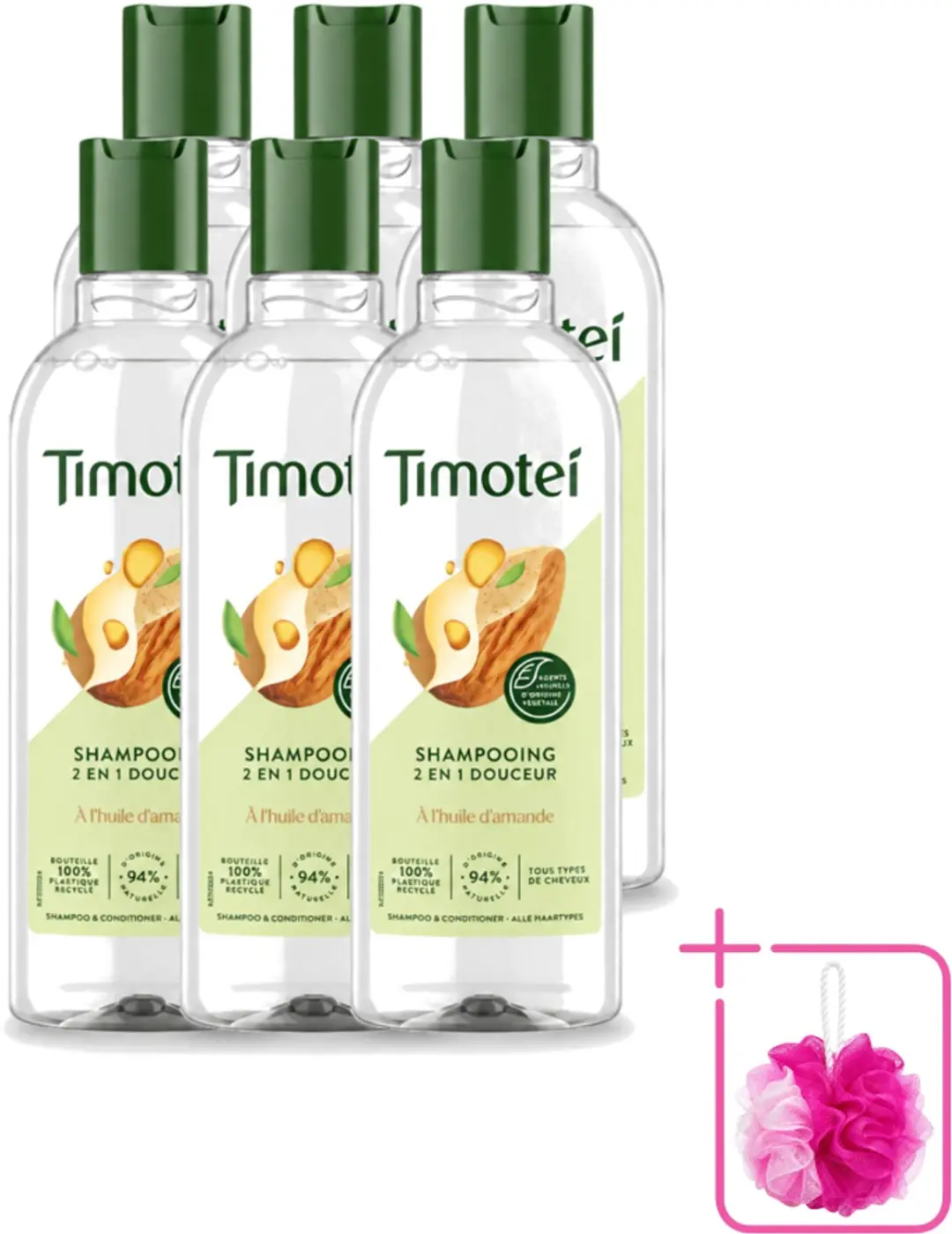 6 x Timotei