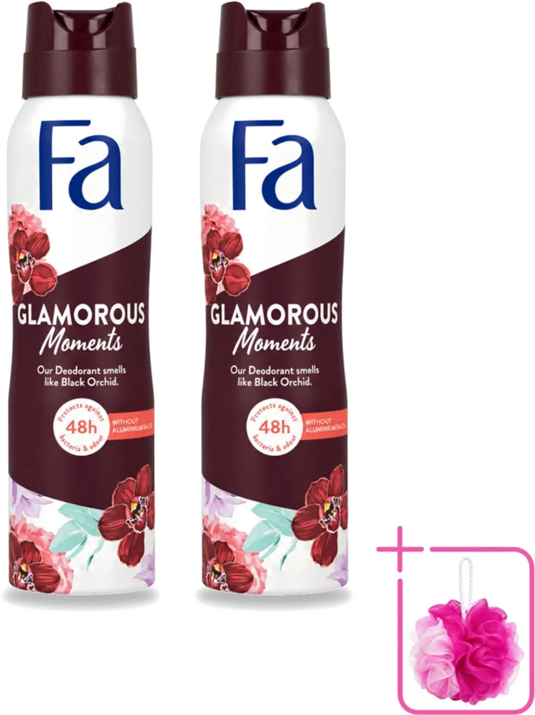 2 x Fa
