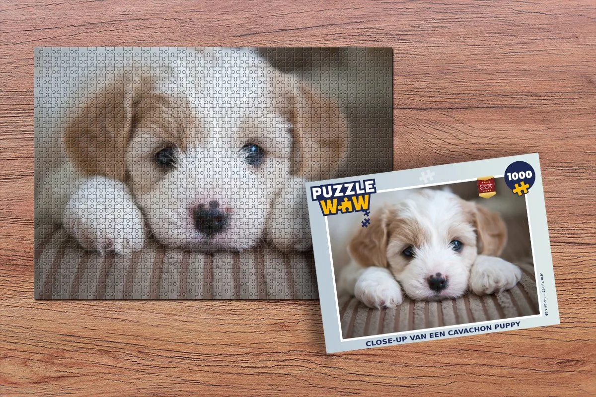 PuzzleWow Cavachon Puppy Legpuzzel 1000 Stuks - Multicolor