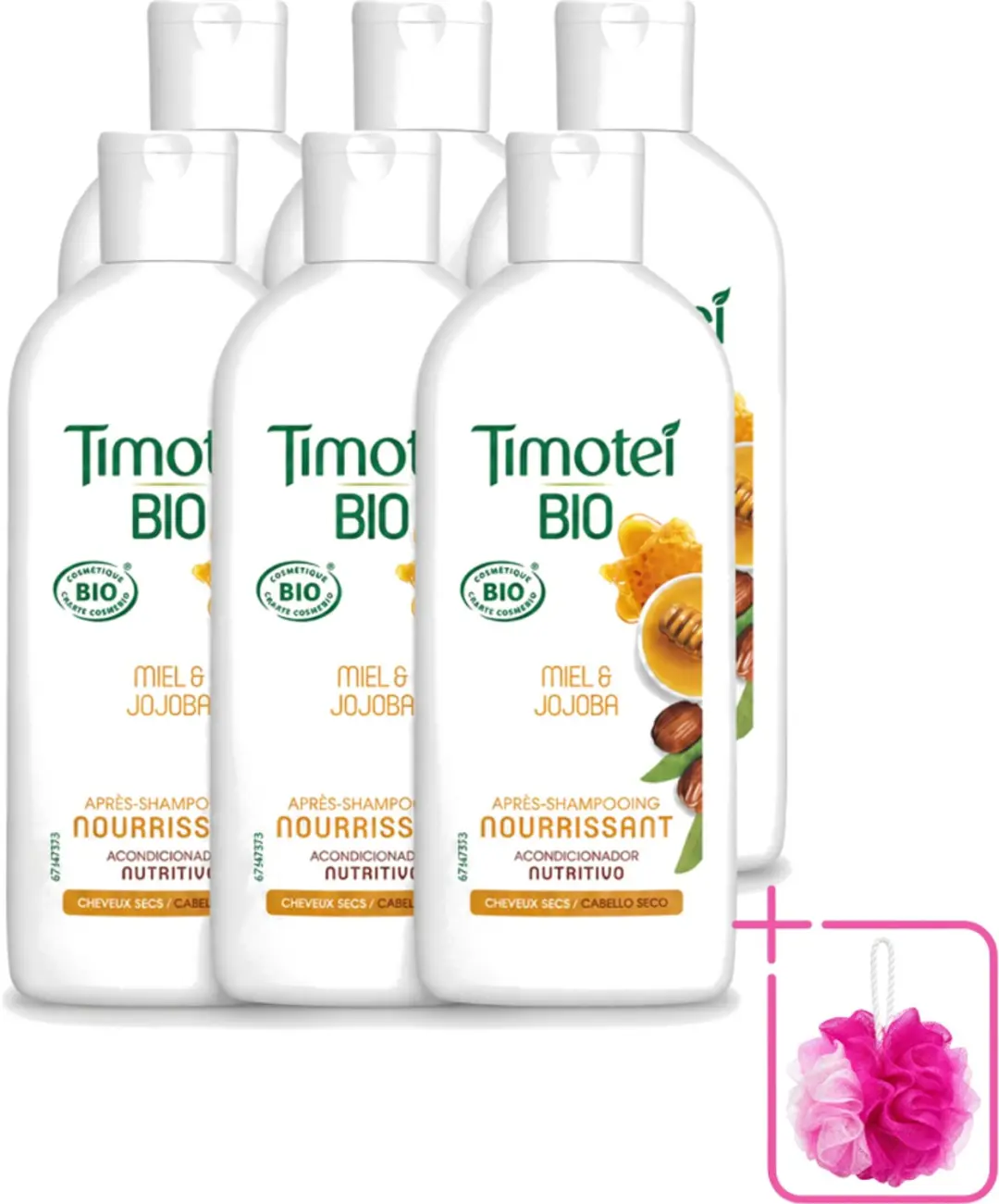 6 x Timotei