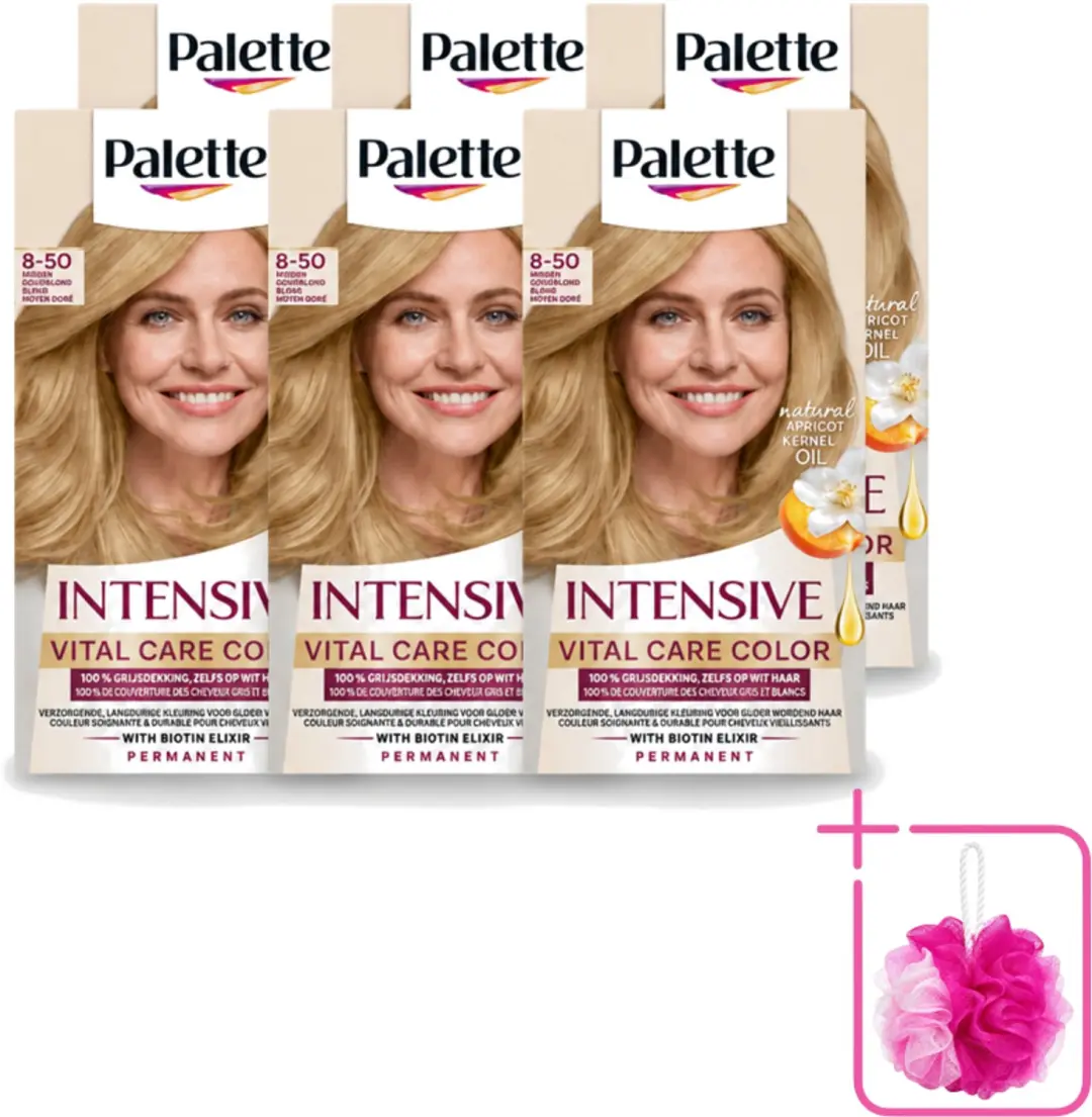 6 x Poly Palette