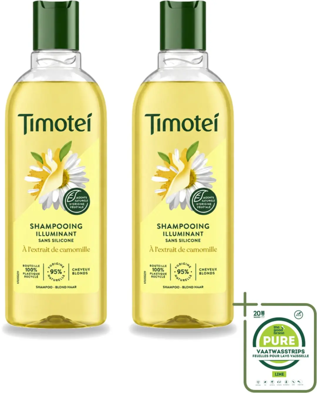2 x Timotei