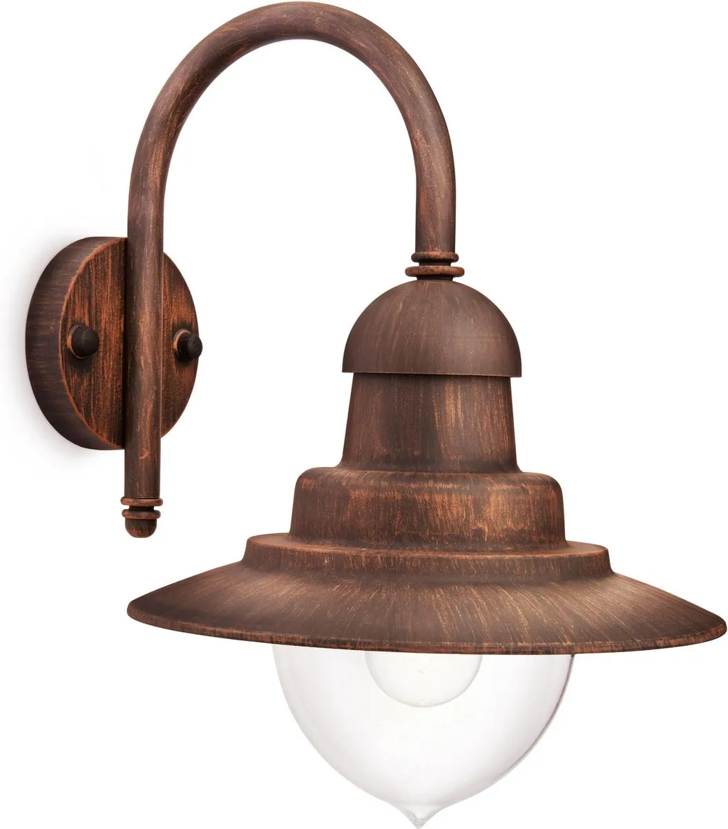 Philips Raindrop Buitenwandlamp Brons