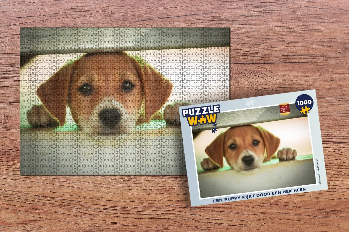 PuzzleWow Legpuzzel 1000 Stuks - Multicolor