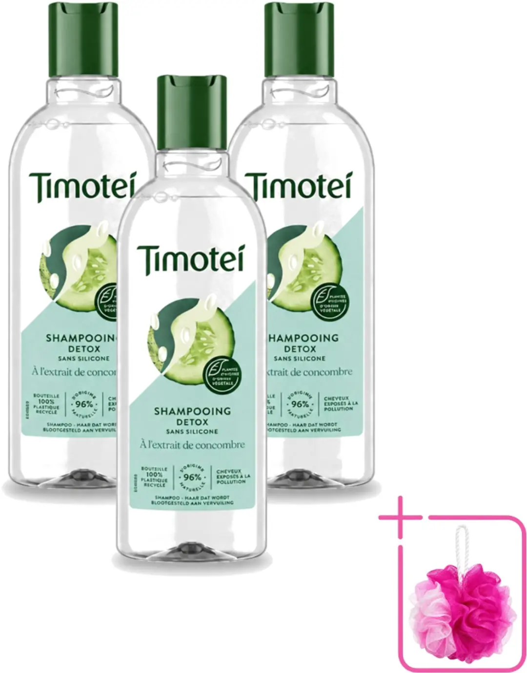 3 x Timotei