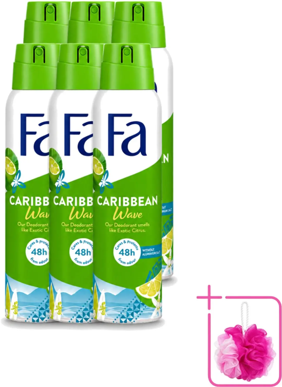 6 x Fa