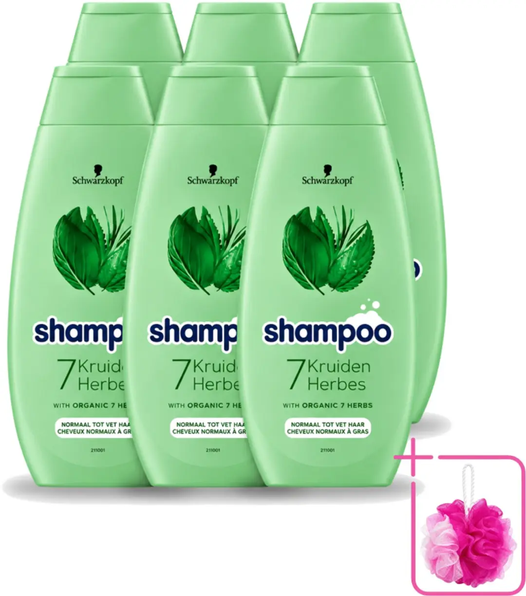6 x Schwarzkopf