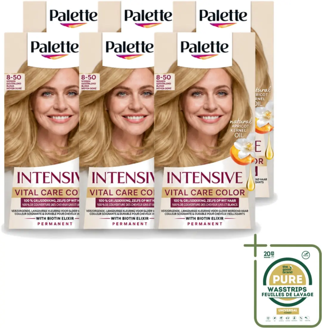 6 x Poly Palette