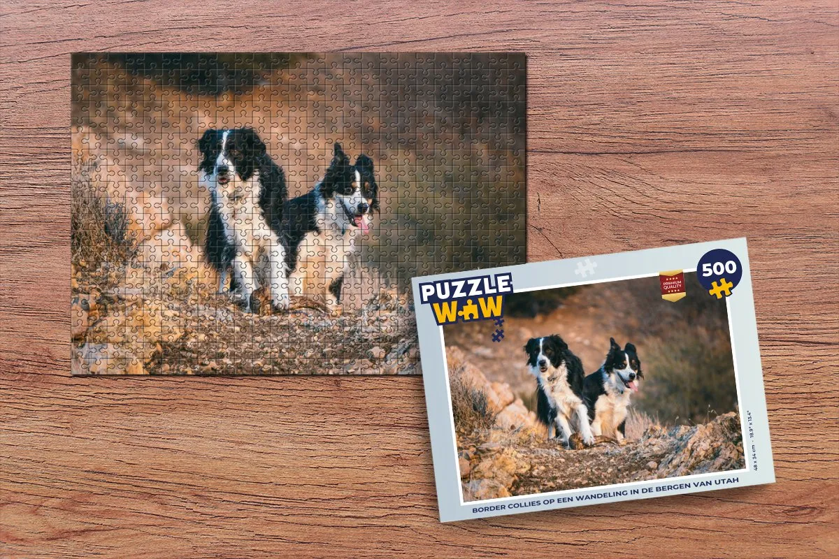 PuzzleWow Border Collies Utah Wandeling Legpuzzel 500 Stuks - Multicolor