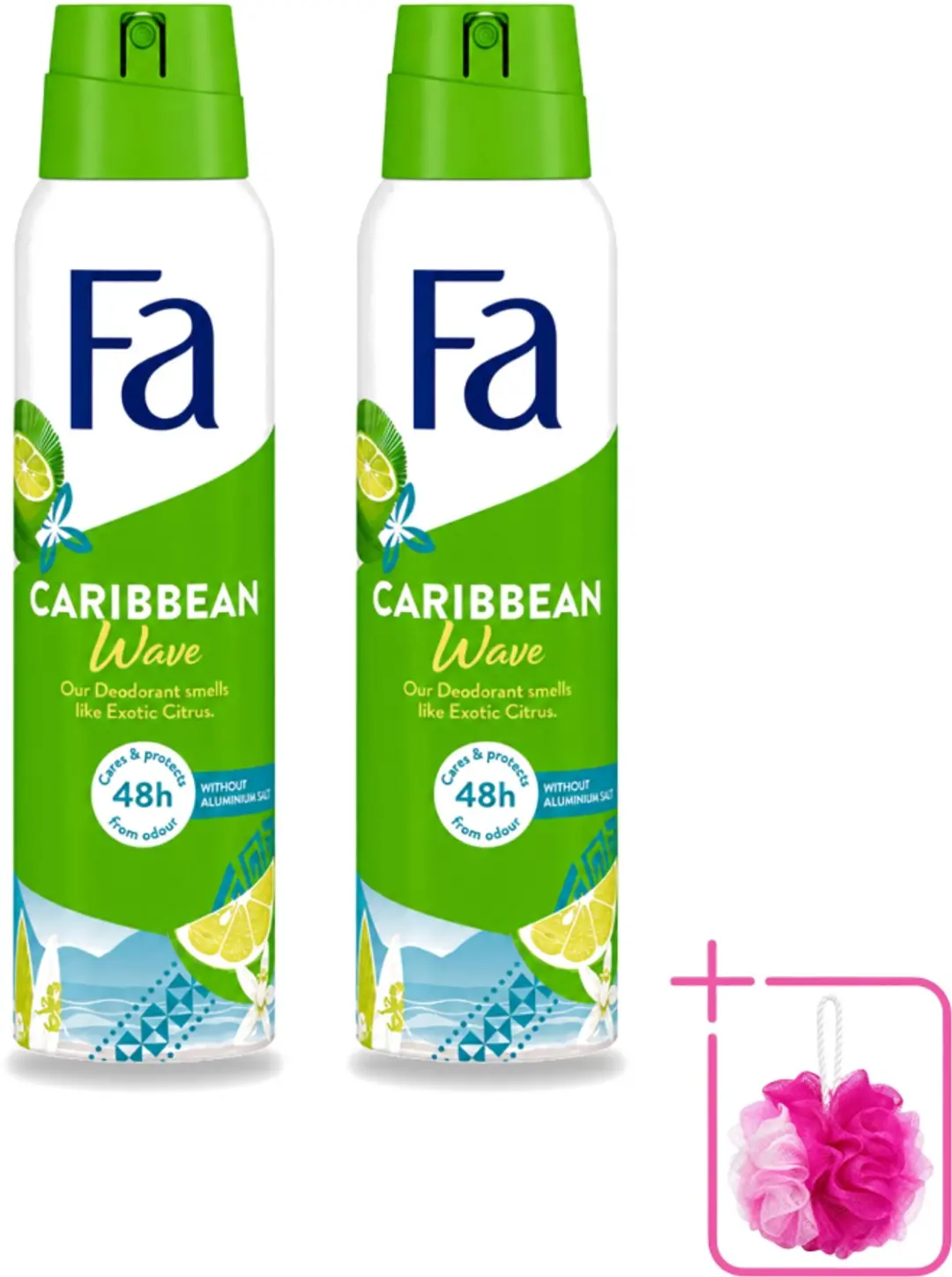 2 x Fa