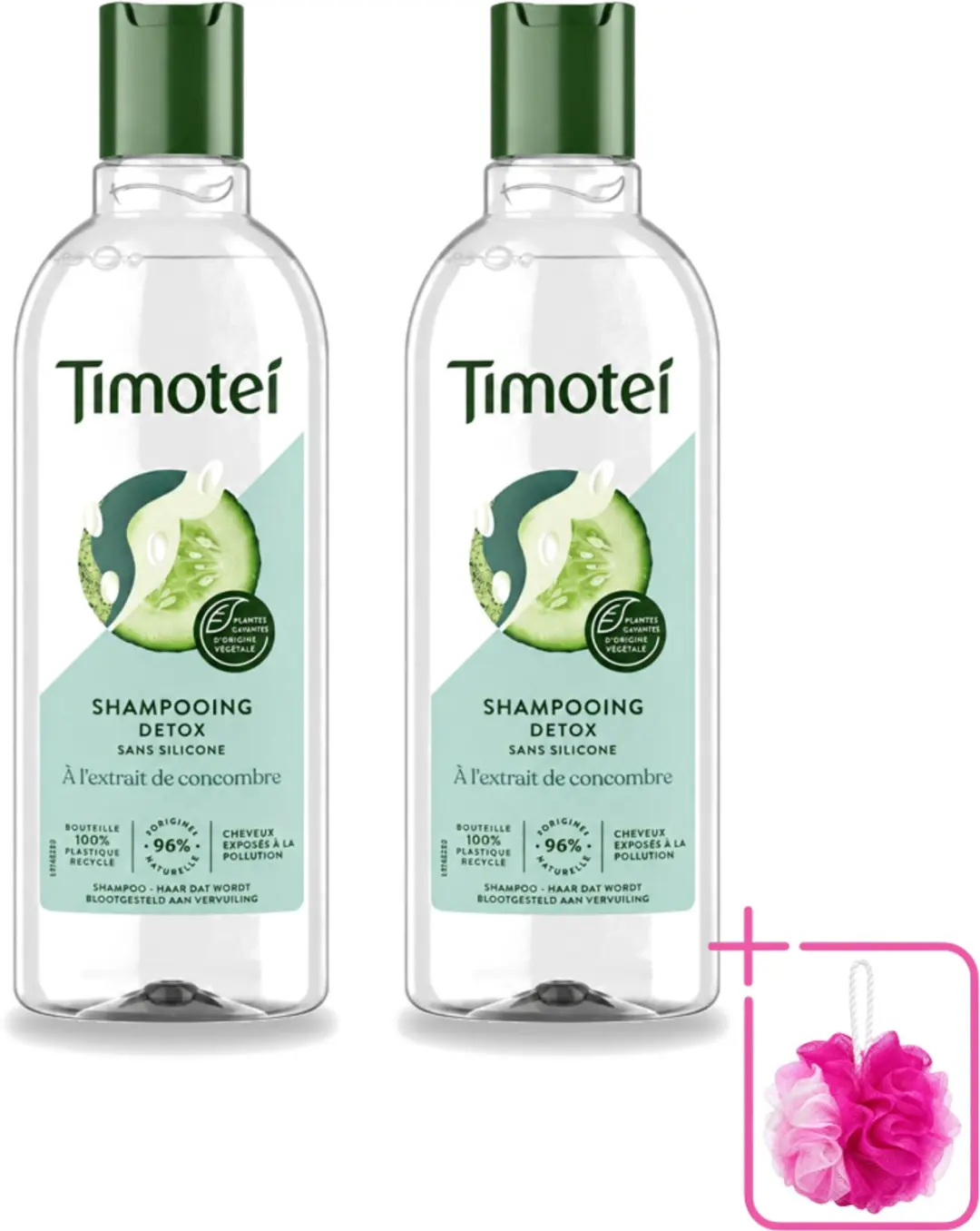 2 x Timotei