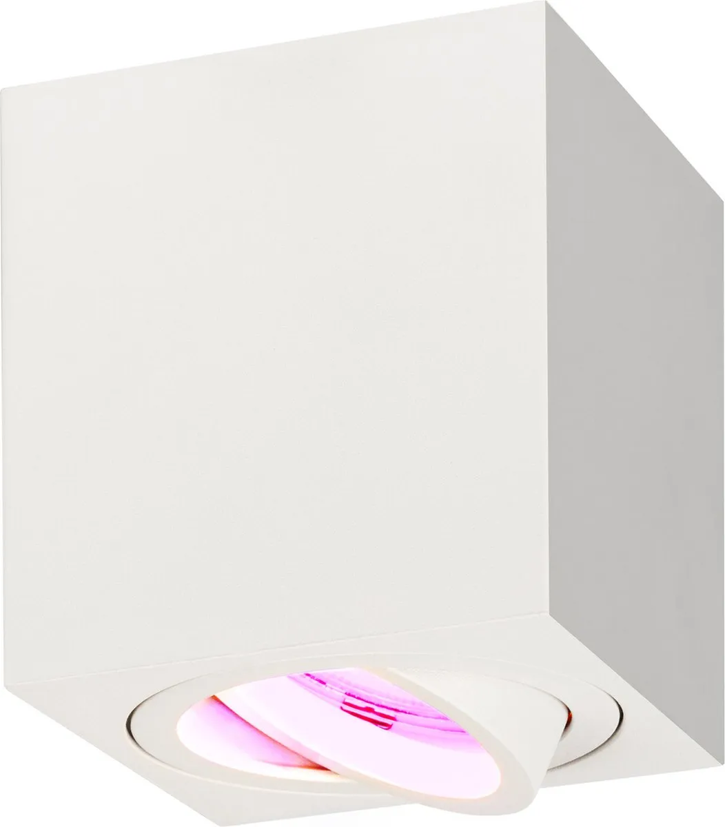 Ledvion LED Opbouwspot 3W RGB