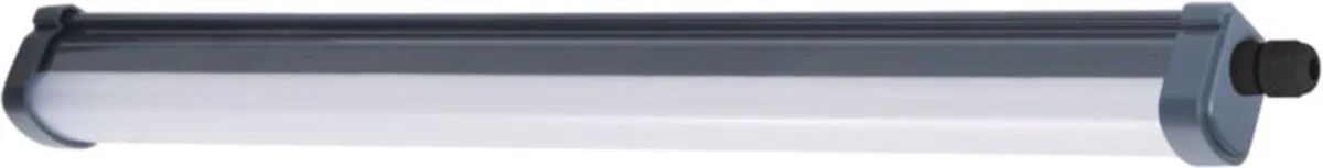 Philips LED ProjectLine Waterproof Buislamp 1550lm Warmwit