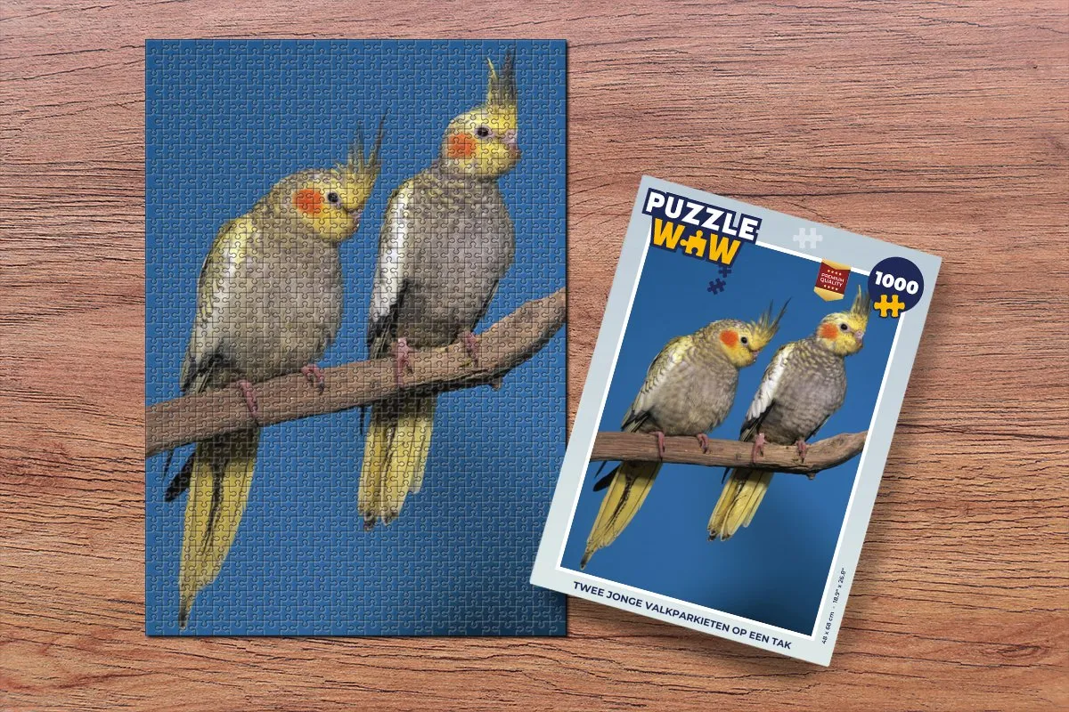 PuzzleWow Legpuzzel Twee jonge valkparkieten - 1000 Stuks - Multicolor