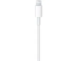 Apple Originele USB-C naar Lightning Kabel MK0X2ZM/A - 100cm