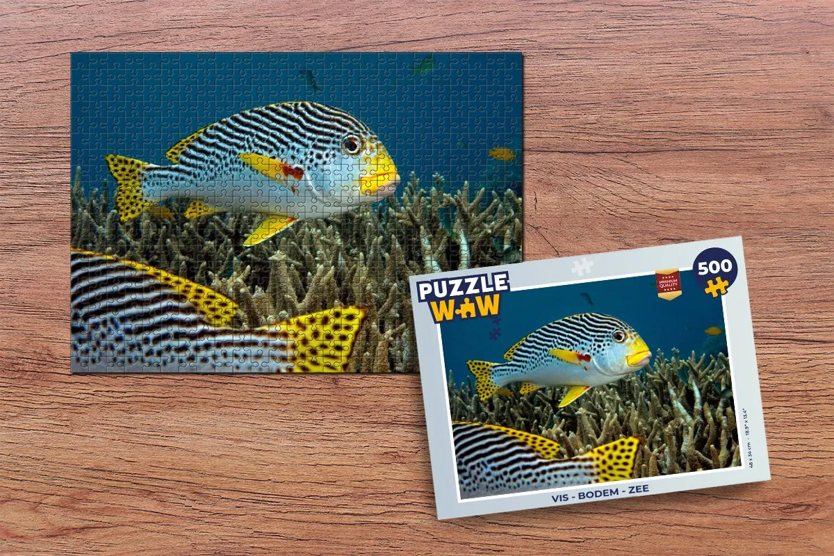 PuzzleWow Vis Bodem Zee Legpuzzel 500 Stuks - Multicolor