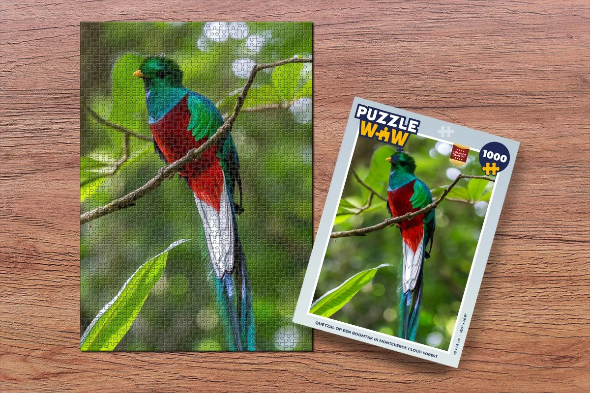 PuzzleWow Quetzal Monteverde Legpuzzel 1000 Stuks - Multicolor
