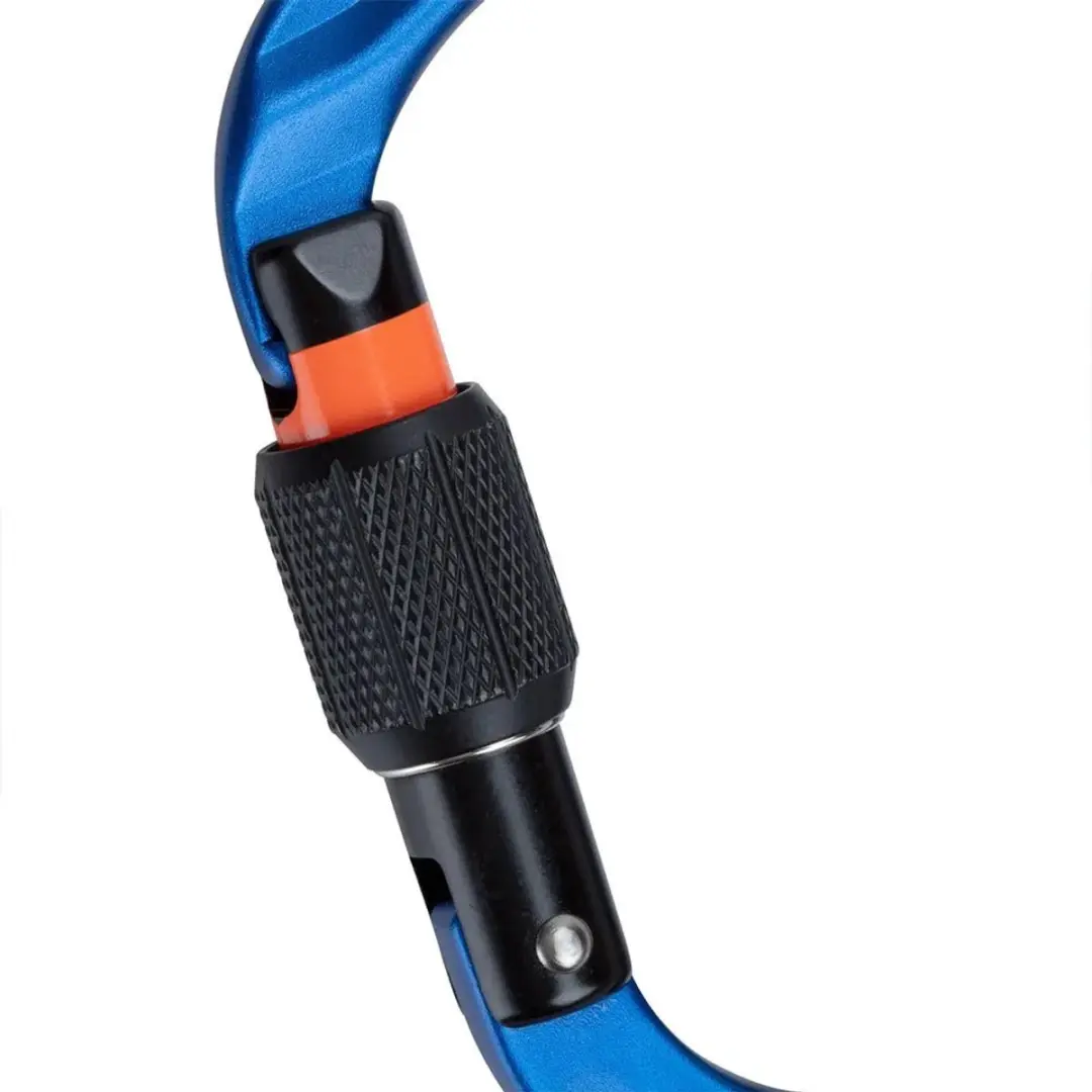 Mammut Classic HMS Screwgate Karabijnhaak - Blauw - afbeelding 2 van 4