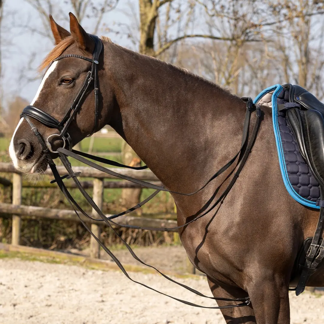 QHP Slofteugel Basic Pro Full - Zwart - afbeelding 3 van 5