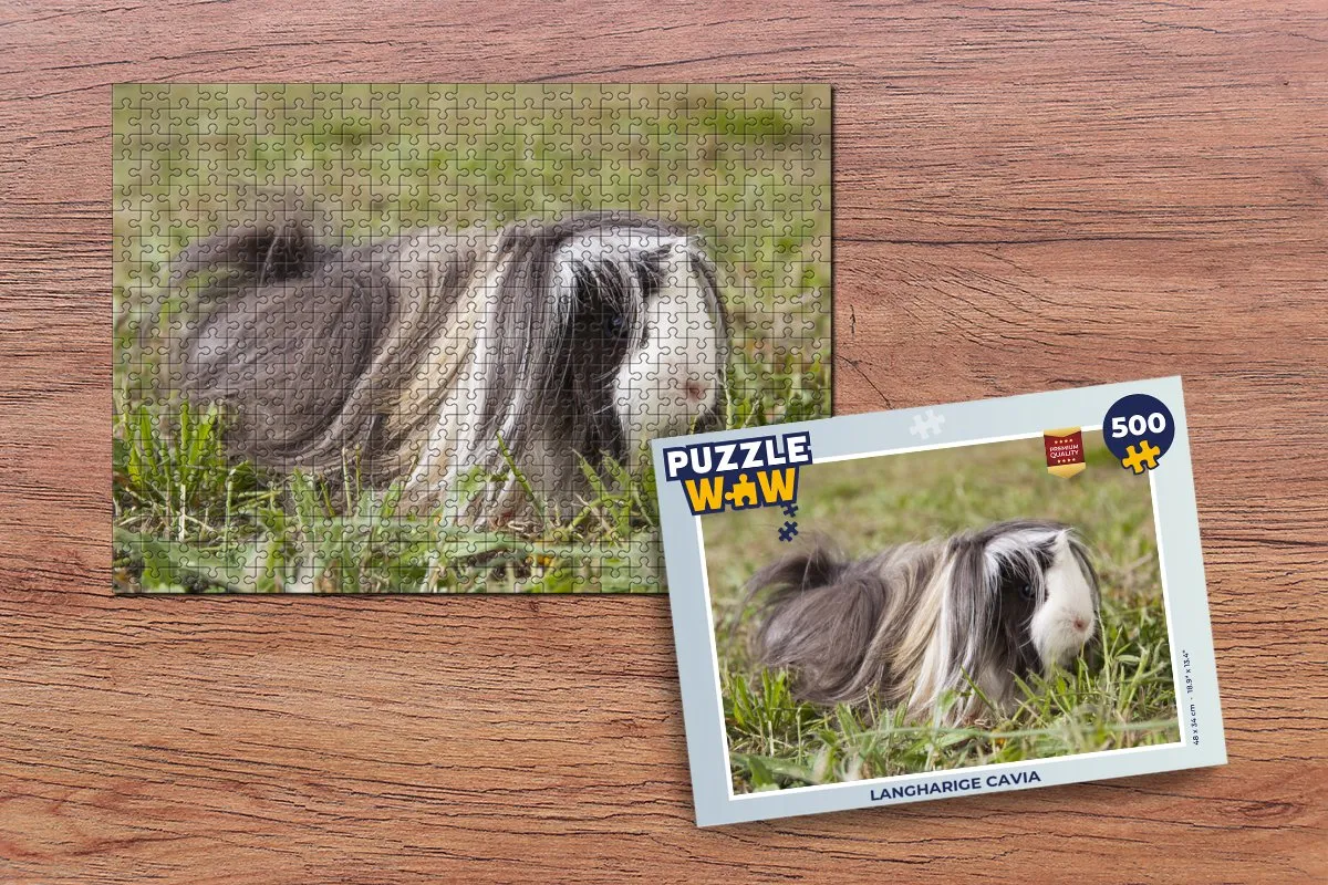 PuzzleWow Langharige cavia Legpuzzel 500 Stuks - Multicolor