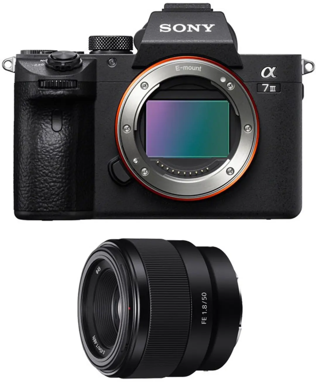 SONY ALPHA 7 III + FE 50mm f/1.8