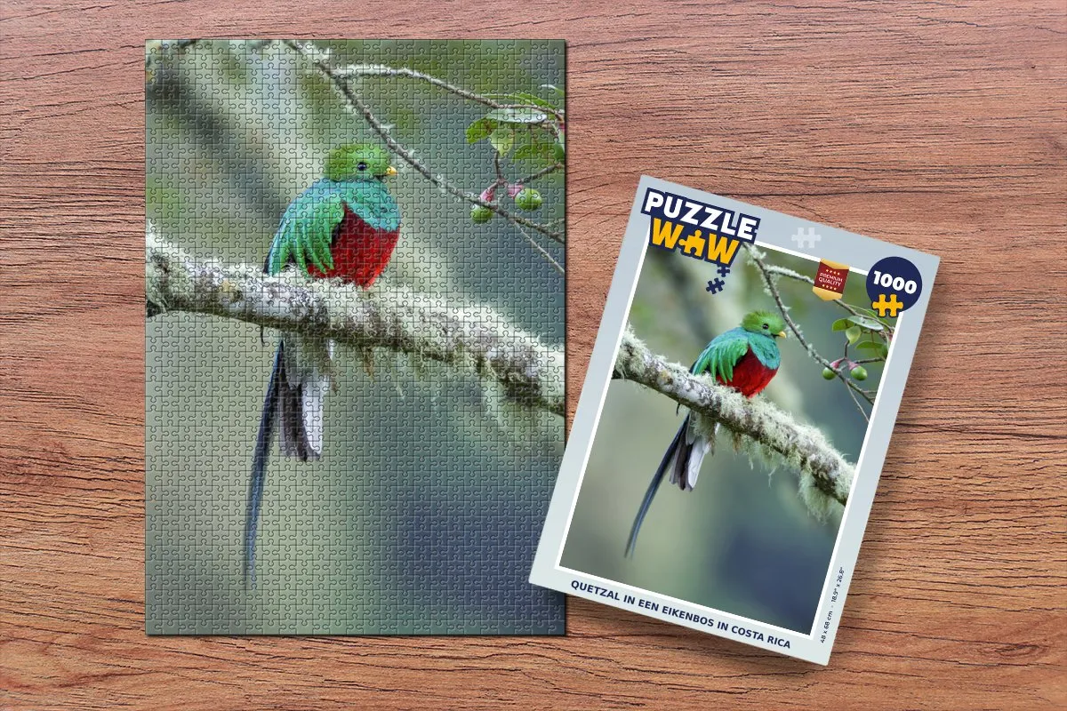 PuzzleWow Quetzal Costa Rica Legpuzzel 1000 Stuks - Multicolor