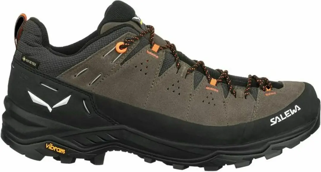 Salewa Alp Trainer 2 Gore-Tex Wandelschoenen 46