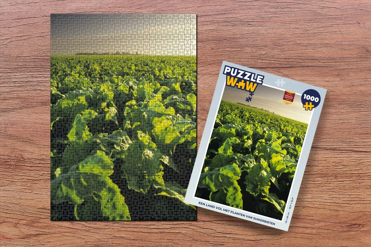 PuzzleWow Legpuzzel Een land vol met planten van suikerbieten 1000 Stuks - Multicolor