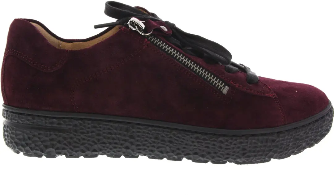 Dames Veterschoenen Hartjes Phil Shoe Aubergine