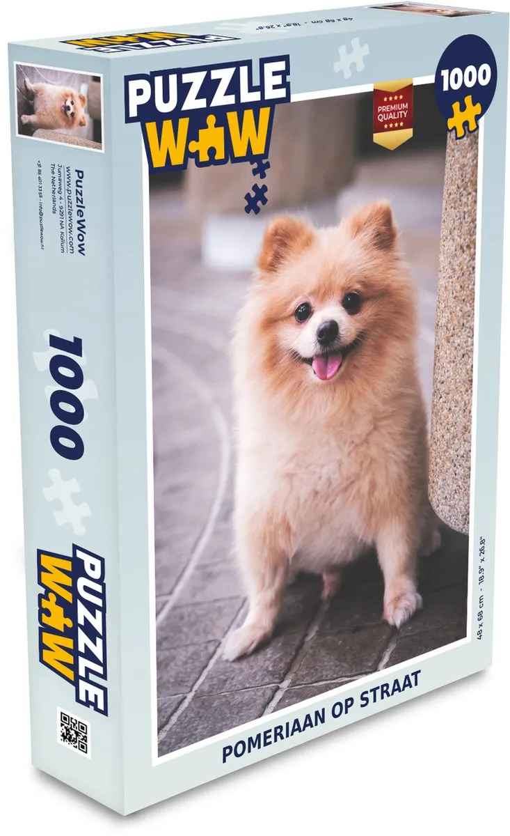 PuzzleWow Pomeriaan op straat Legpuzzel 1000 Stuks - Multicolor