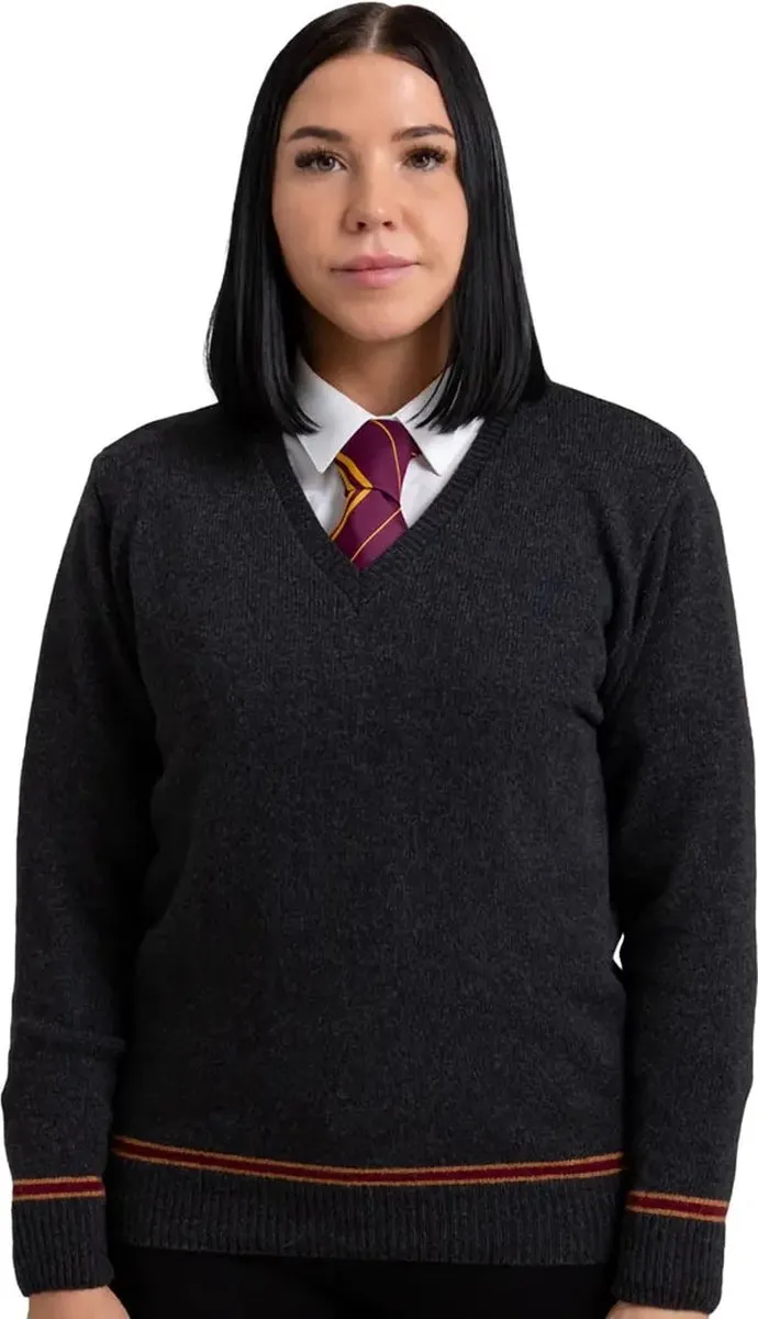 Harry Potter Lochaven Gryffindor V-Neck Sweater XS - Multi