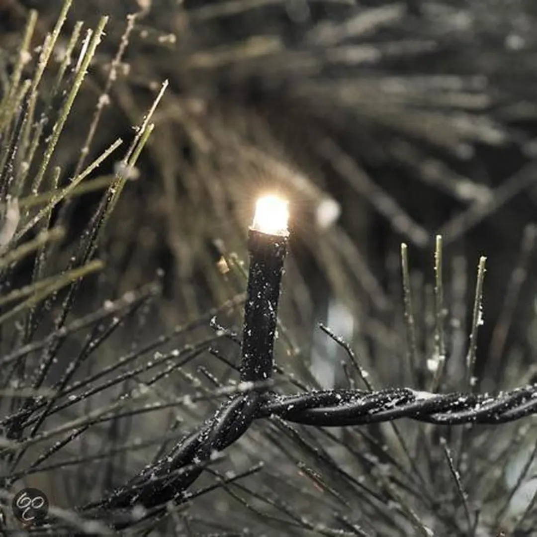 Konst Smide Kerstverlichting buiten 3611-140