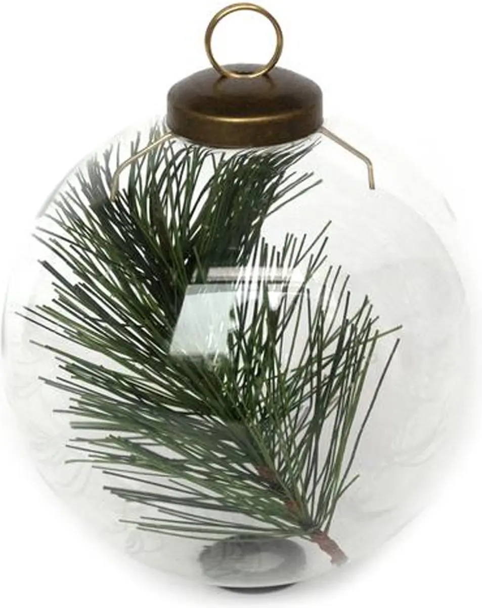 Leeff Kerstbal met tak