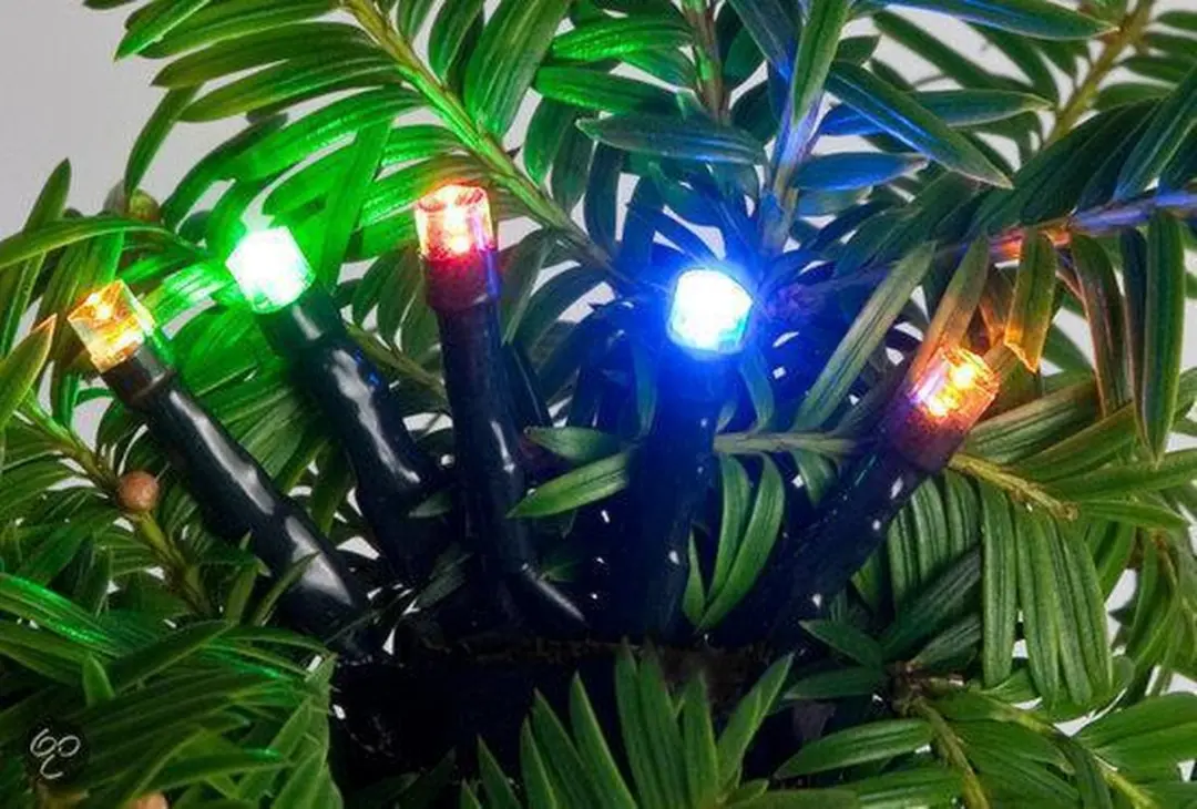 Anna's Collection Kerstverlichting 40 LED 4m Multicolor - afbeelding 3 van 3