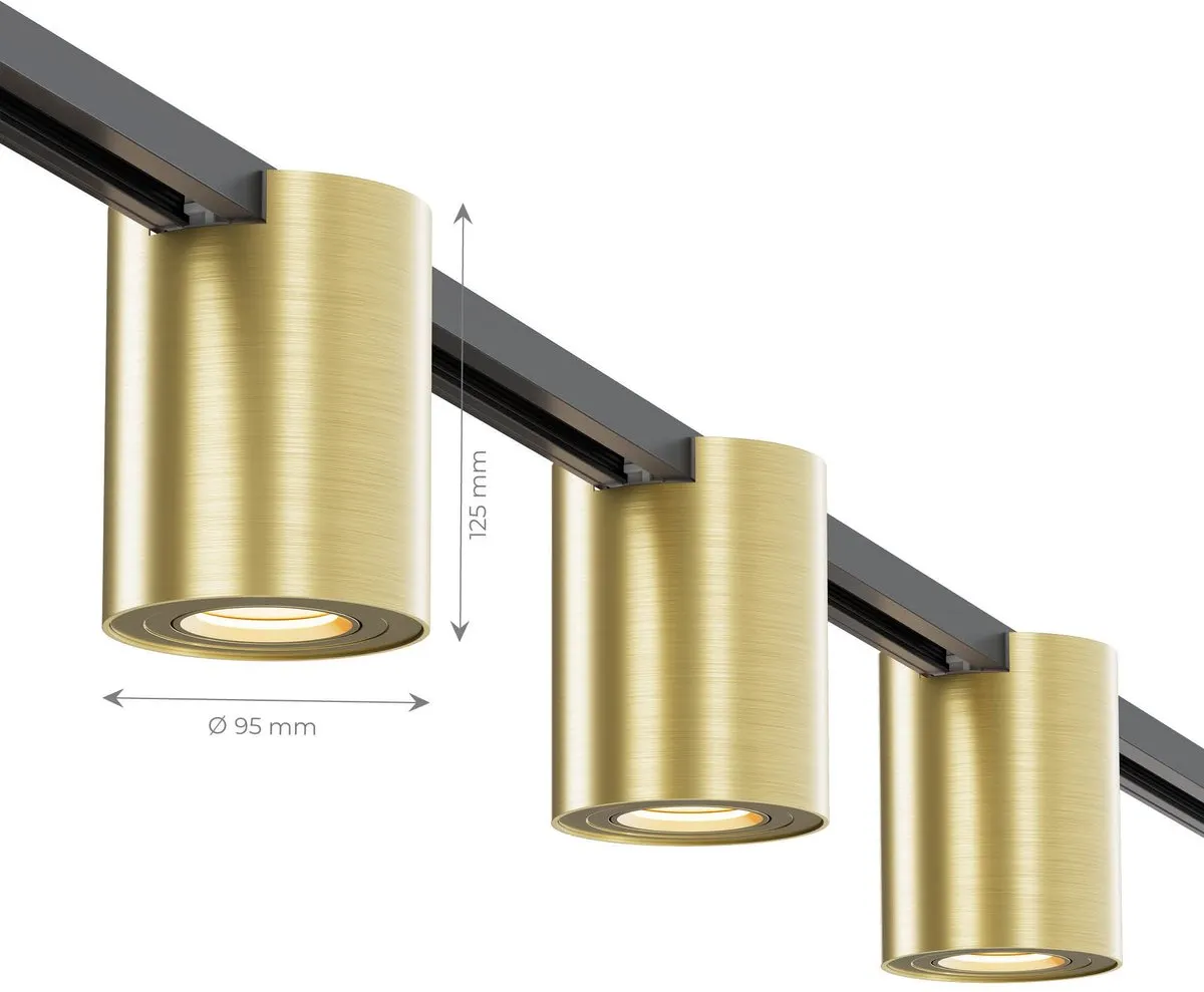 LEDVION Railspot 1-Fase GU10 Kantelbaar - Goud