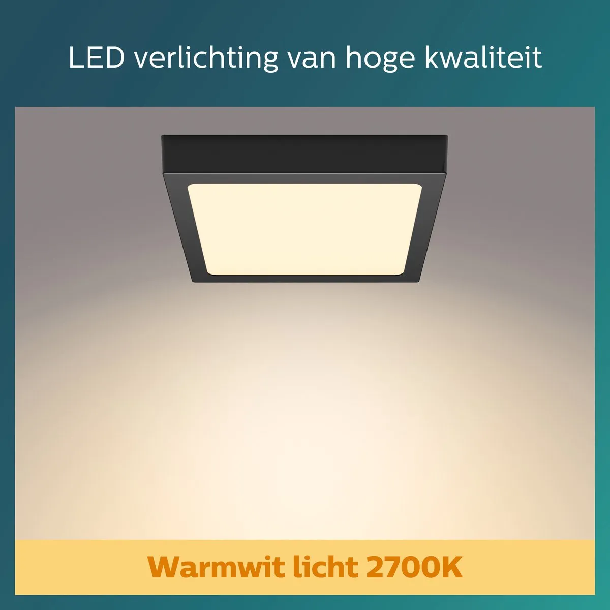 Philips Magneos Plafondlamp - Zwart