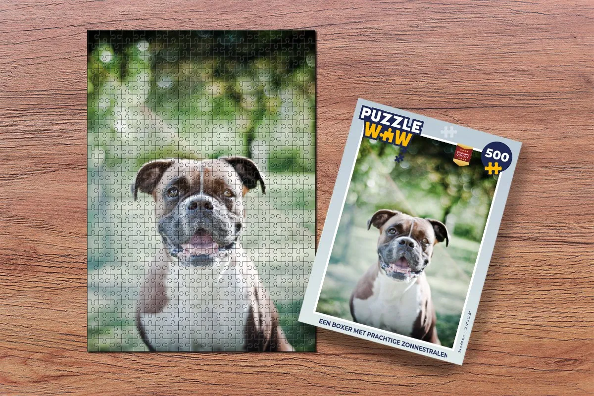 PuzzleWow Legpuzzel Een Boxer met zonnestralen 500 Stuks - Multicolor