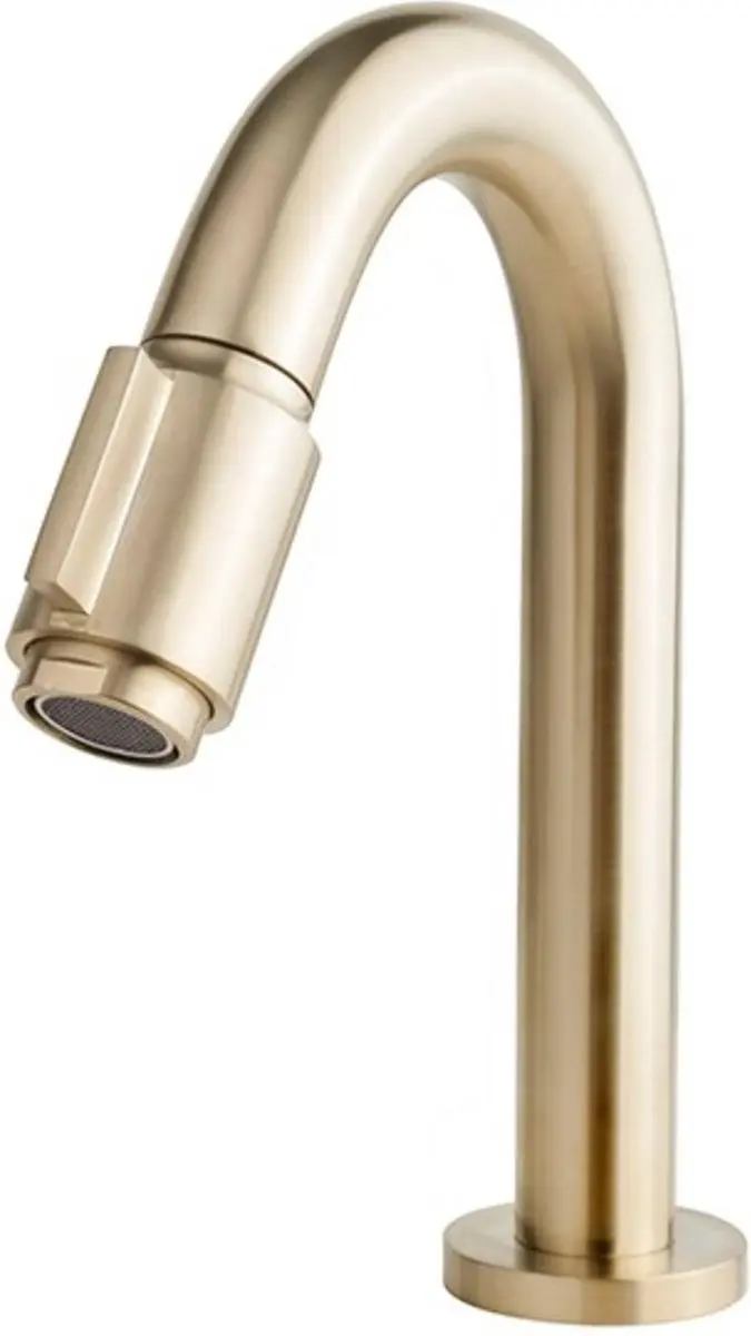 Saqu Essential 2.0 Fonteinkraan 31219040 - Goud - afbeelding 6 van 6