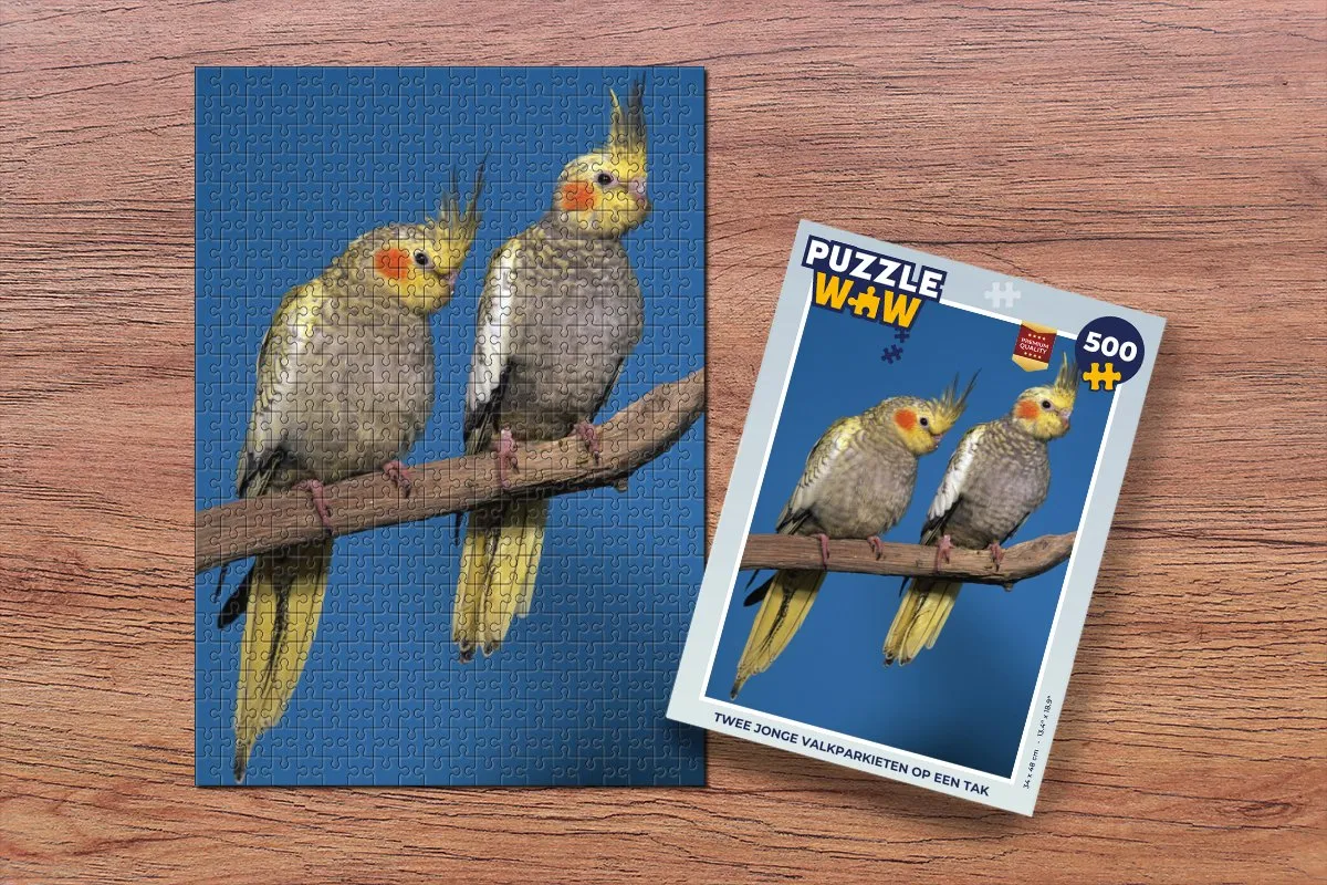 PuzzleWow Legpuzzel Twee jonge valkparkieten op een tak 500 Stuks - Multicolor