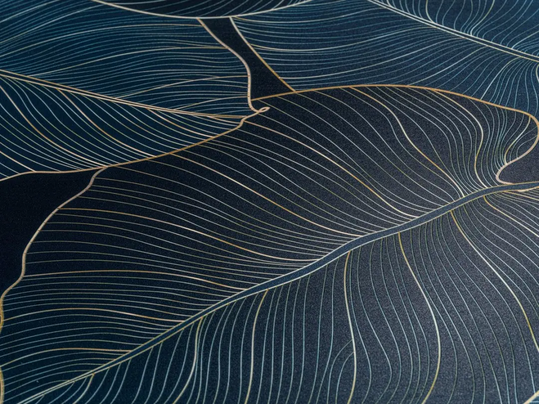 Wenko WC-deksel Big Leaves Soft Close 25193100 - Blauwgroen - afbeelding 5 van 6