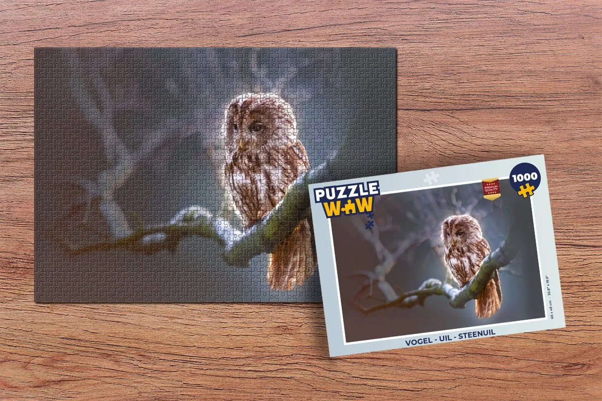 PuzzleWow Steenuil Legpuzzel 1000 Stuks - Multicolor