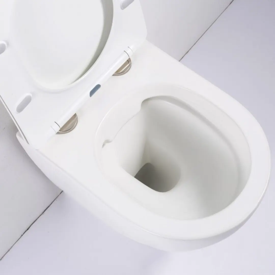 Geberit UP100 Brogali Jet flush Rim-free MAT WIT