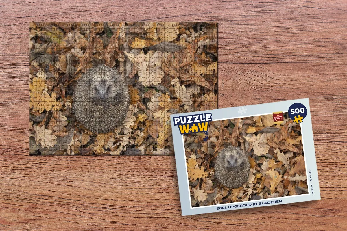 PuzzleWow Legpuzzel 500 Stuks Multicolor