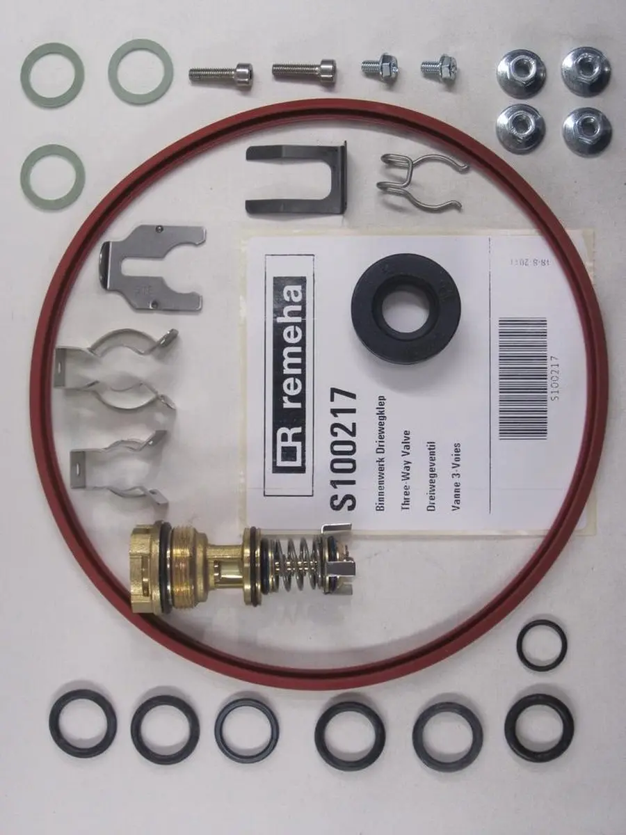 Remeha S100217